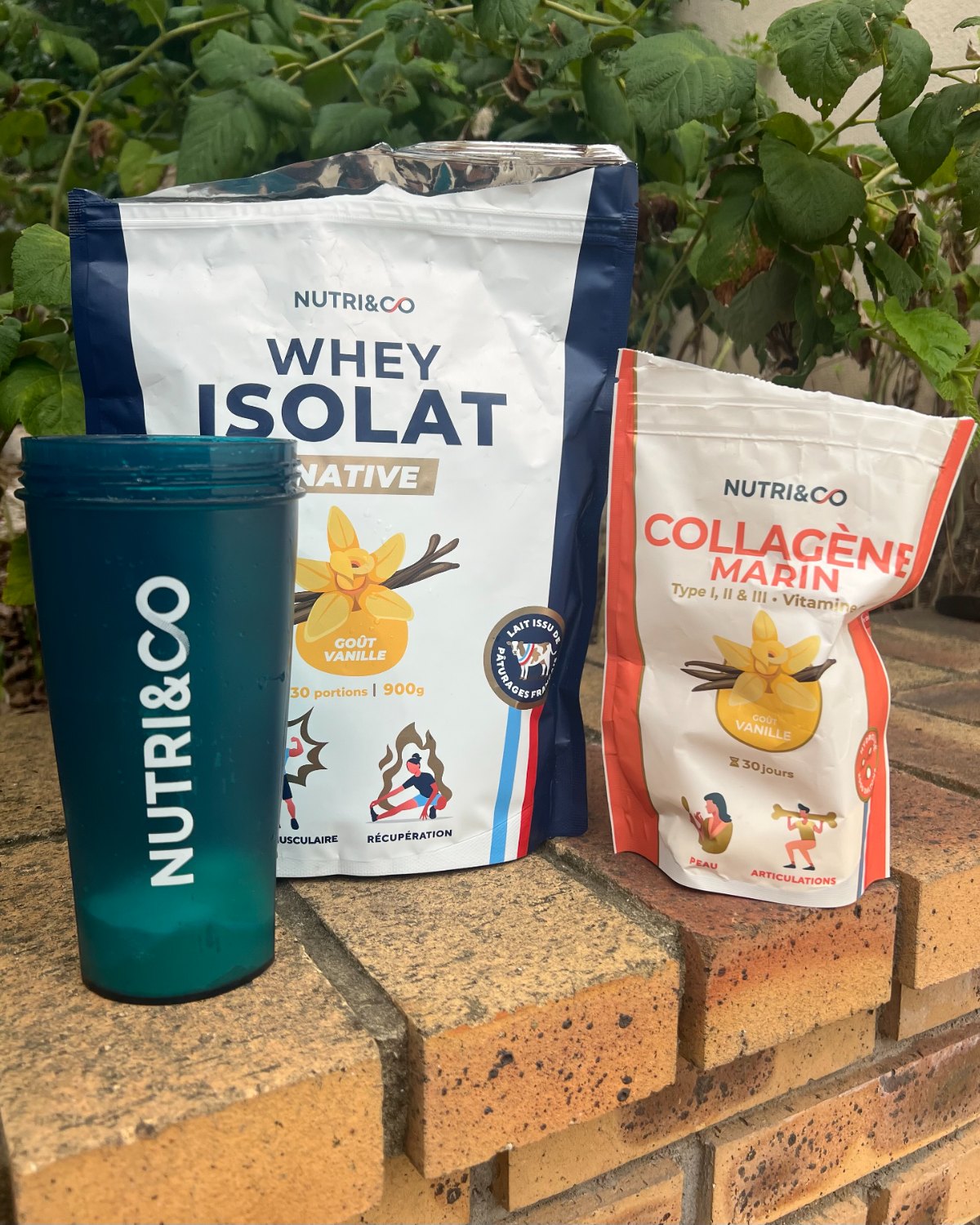 Le shaker, la whey isolat et le collagène marin Nutri&Co